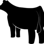 Entry Fee - Heifer Futurity and Bull Prospect Show
