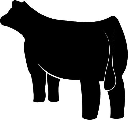 Entry Fee - Heifer Futurity and Bull Prospect Show